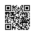 517274300 Plaque *plate