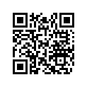 517302449 RH MIRROR