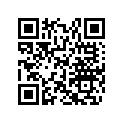 517304007 Grill