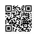 517304395 Windsheld 375mm