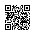517305147 Support Console Cap