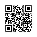 517305486 Foam