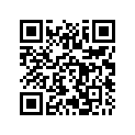 517305609 Console