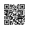 517305644 Insulator