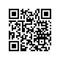 517306499 Foam