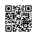 518306700 Support *support