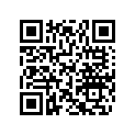 518317519 Att.amort.ga. *brkt-shock Lh
