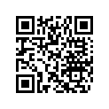 518327863 RH Stirup