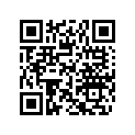 518329755 Center Column Support