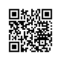 520001589 Key