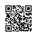 521-11161-01-00 Absorber 1