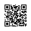 5210753 SPACER, .032