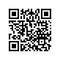 52172-MCS-760 SHIM, PIVOT (1.10)
