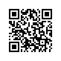 5221624-067 SUBSTITUTED BY 9999999