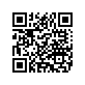 5223707 FLSTNPILLION