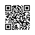 52400016 BRACKET,RHPSNGRGRABSTRA