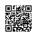 52400017 GRABSTRAP,PSNGR