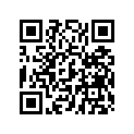 5240252 FLANGETTE