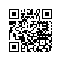 5244557-067 BAR,TORS.,9/16,42.5 ,BLK