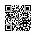 52517-178-003 Ограничительная втулка