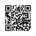 5274382A SISSYBARASSY,FXSB