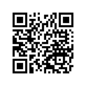 530041075 Mat