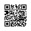 53100MEG305 Труба руля