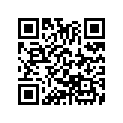 53103-428-000 HOLD,WINKER STAY