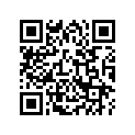 53105-KR1-860 Грузик руля
