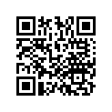 53105MAJG01 Грузик руля