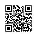 53108-MJ0-000 Фиксатор грузика руля