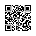 53111-28300-163