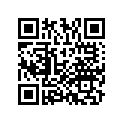 53131-MCV-N30 HLDR, HANDLE