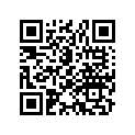 53175116690 LEVER,R.STRG.HNDL