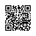 53300-GEL-J00ZA BRIDGE *NH146M*