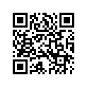 5330569 STRAIGHTCAM