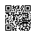 5333474 SPACER