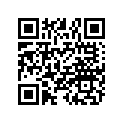 5333997 SHAFT-.689X.334X5.220 ANNODIZE