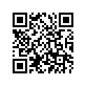 539-14181-04-00