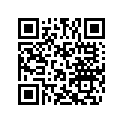 539672 LH Support