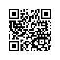 540100019 Cable (option)