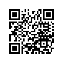 540111295