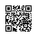 5412674 BOOT-H-4,LARGE,044024