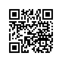 5431017 GUIDE, CHAIN