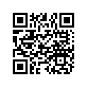 5433693 Console, Hyb, Racer, Basic