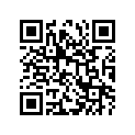 54451-41100