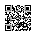 54451-41301