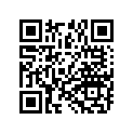 5450222-156 TRIM-SDLBAG,RR,CHR