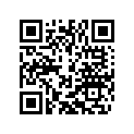 54603036000 STOP DISK 22,2X31,7X1