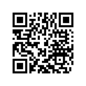 54633015000 STOP DISK 20,2X33X1,5